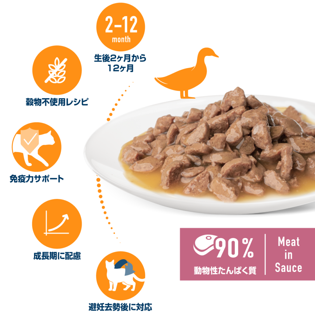 キトン&ジュニア 平飼いの鴨 パウチ 子猫