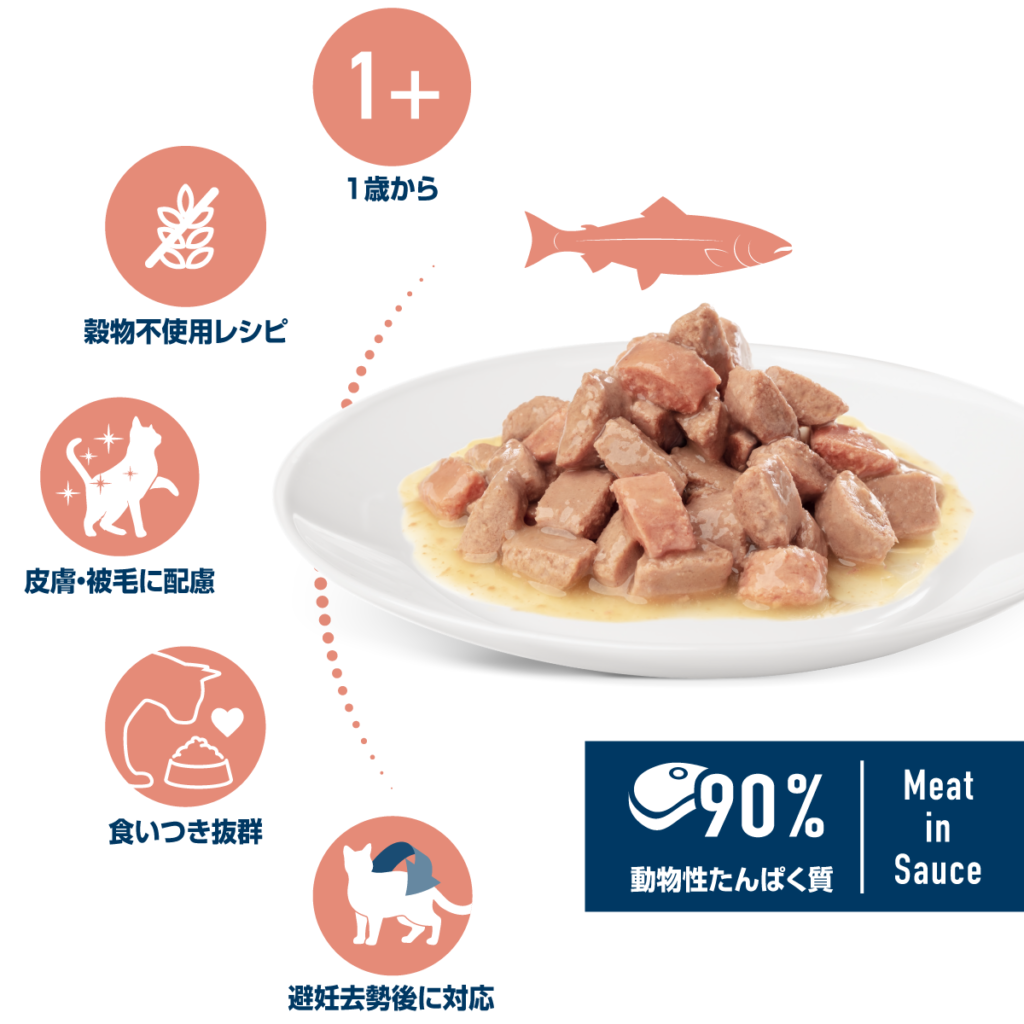 アトランティックサーモン　パウチ　成猫・避妊去勢